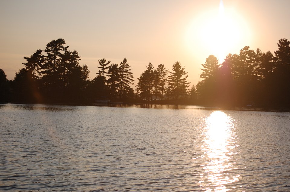 SUMMER (122)